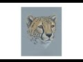 Special Cheetah Portrait Drawing!