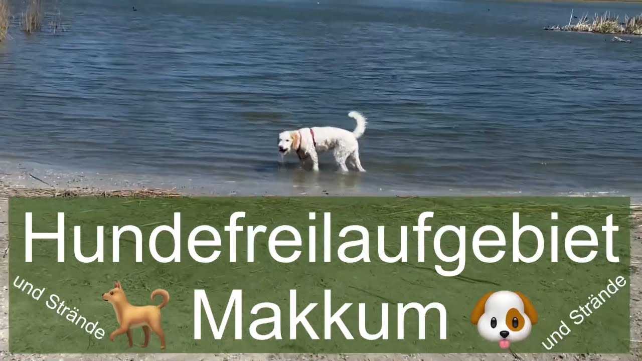 Hundefreilaufgebiet Makkum - mit Hundestränden