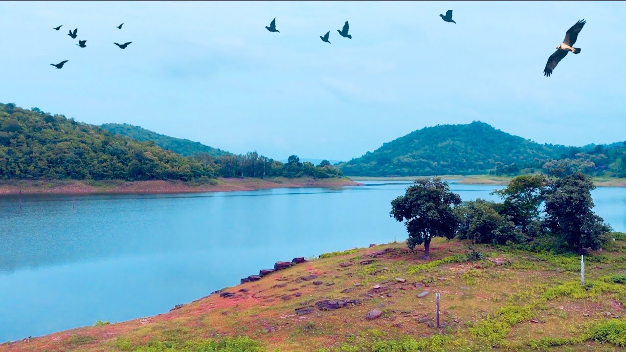 Polo Forest One Day Picnic Place Vijaynagar Sabarkantha Gujarat