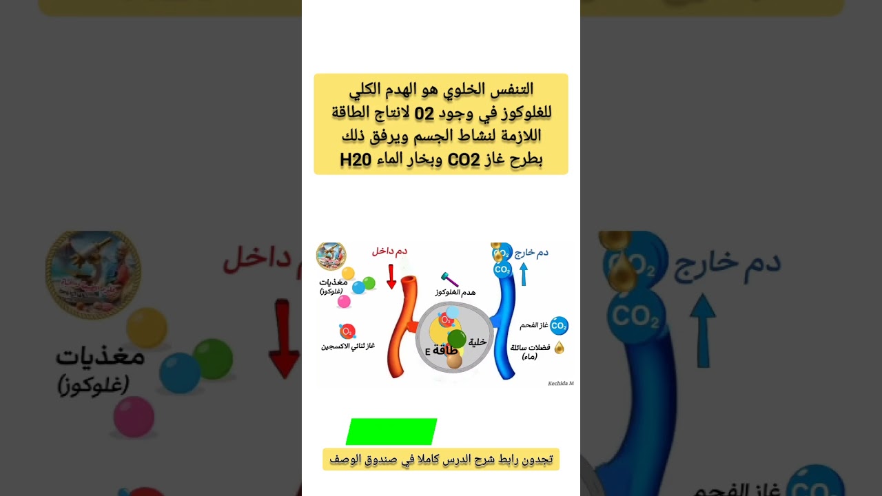 تعريف التنفس الخلوي رابعة متوسط