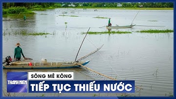 Sông Mê Kông thiếu nước, lũ thấp