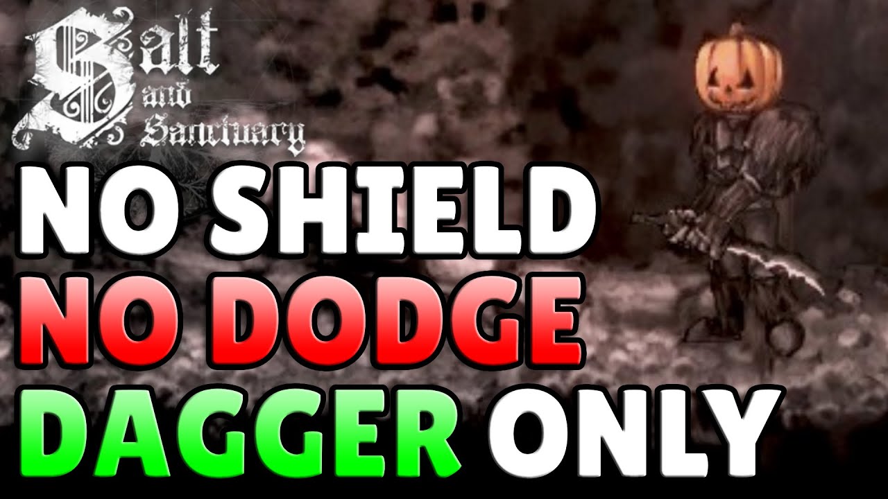 Can You Beat Salt & Sanctuary Without Dodging?