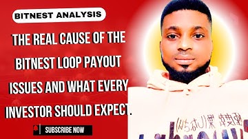 The real cause of the Bitnest Loop payout delays and what every investor should expect.