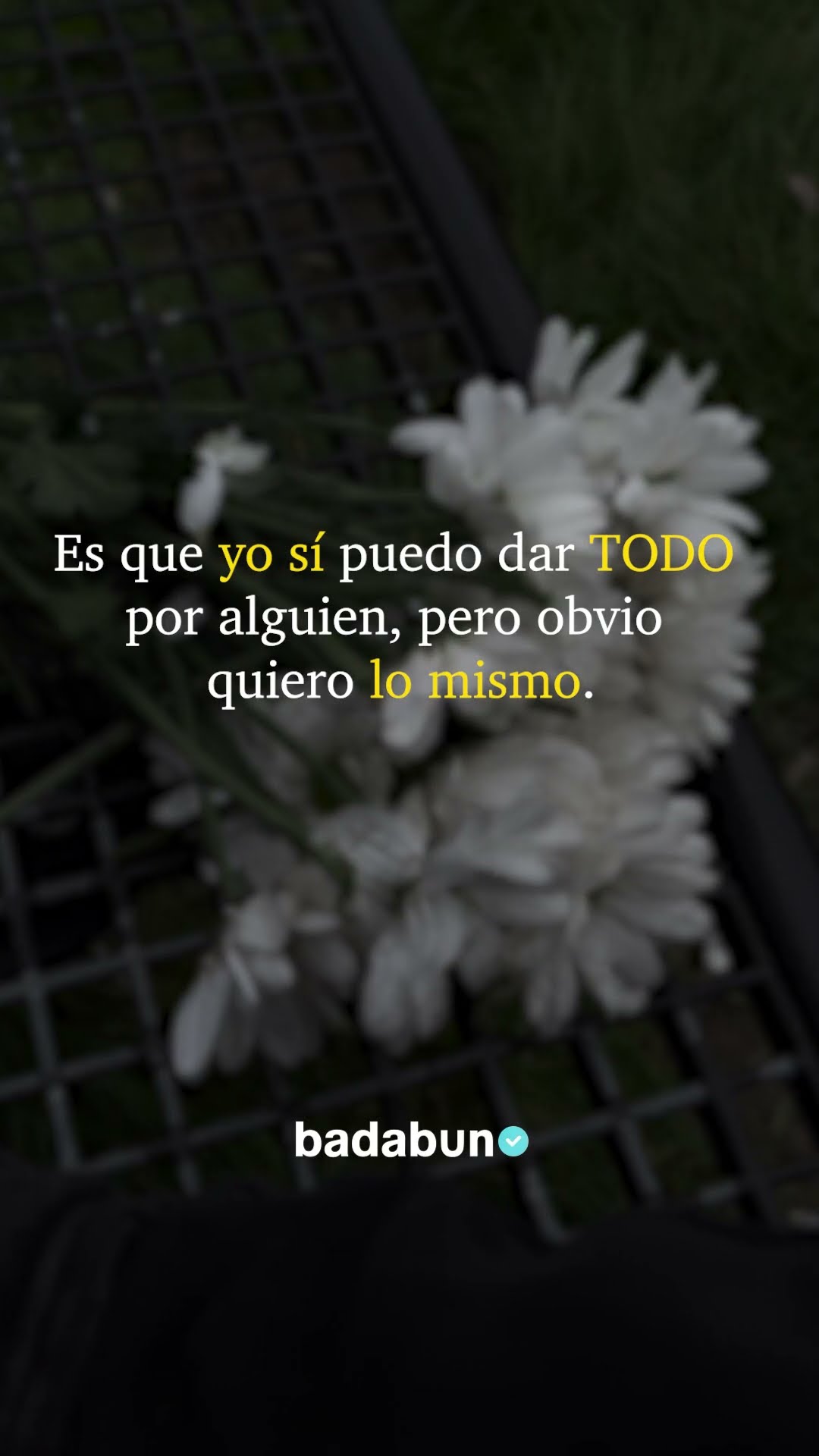 No aceptes menos de lo que mereces ?❤️