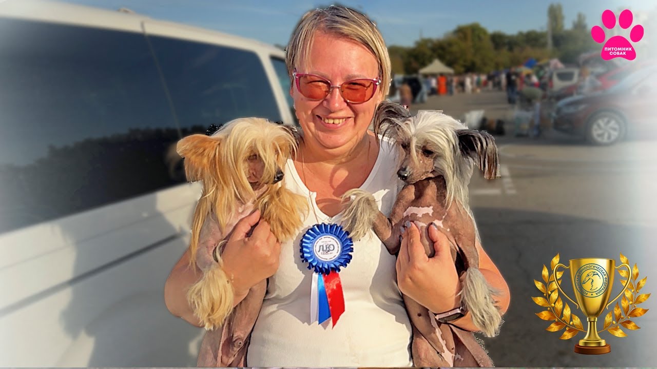 Наш ПОЗОР на ВЫСТАВКЕ СОБАК😳 Больше не пойдем на выставки? Вся правда о выставках собак РКФ.
