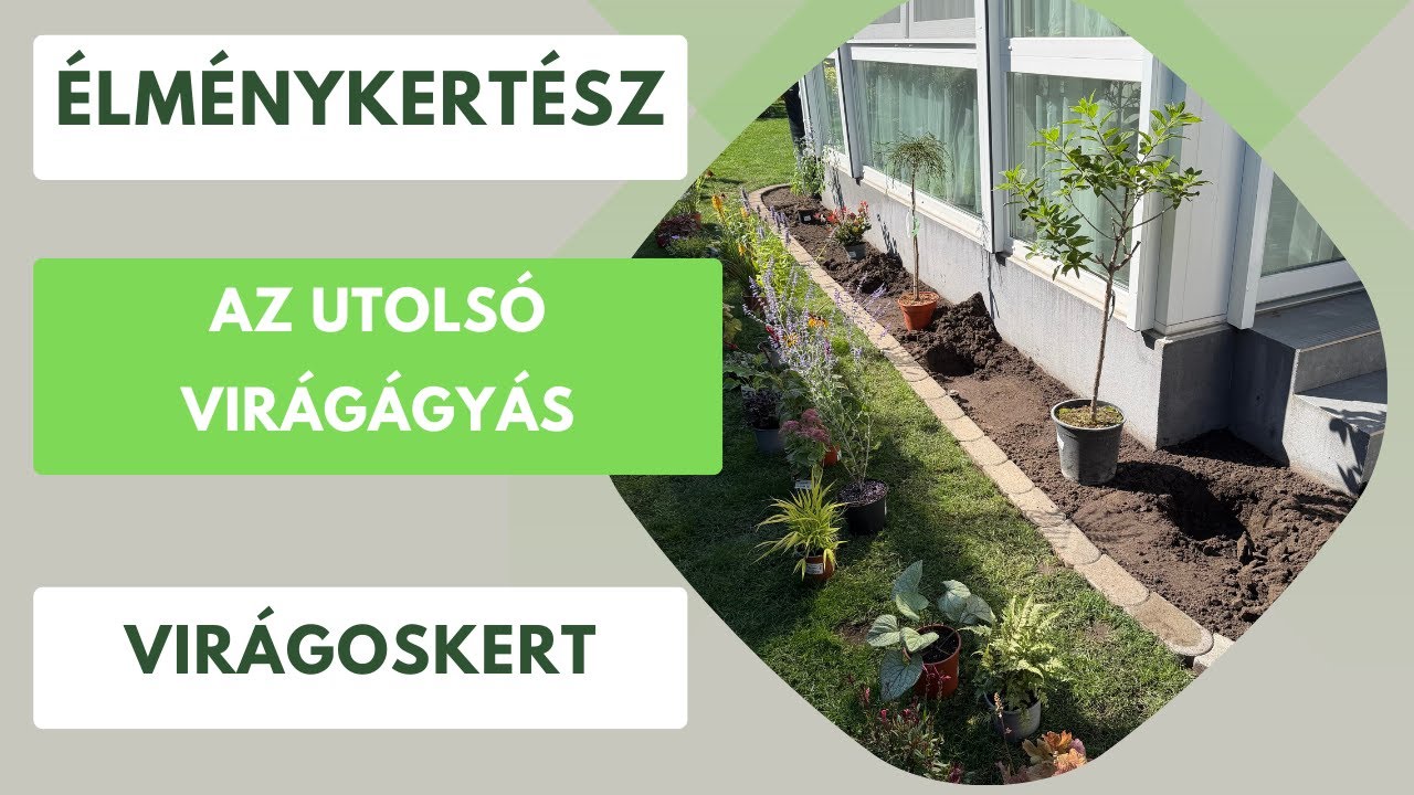 Hogyan készítsünk tökéletes virágágyást pár lépésben?🏡