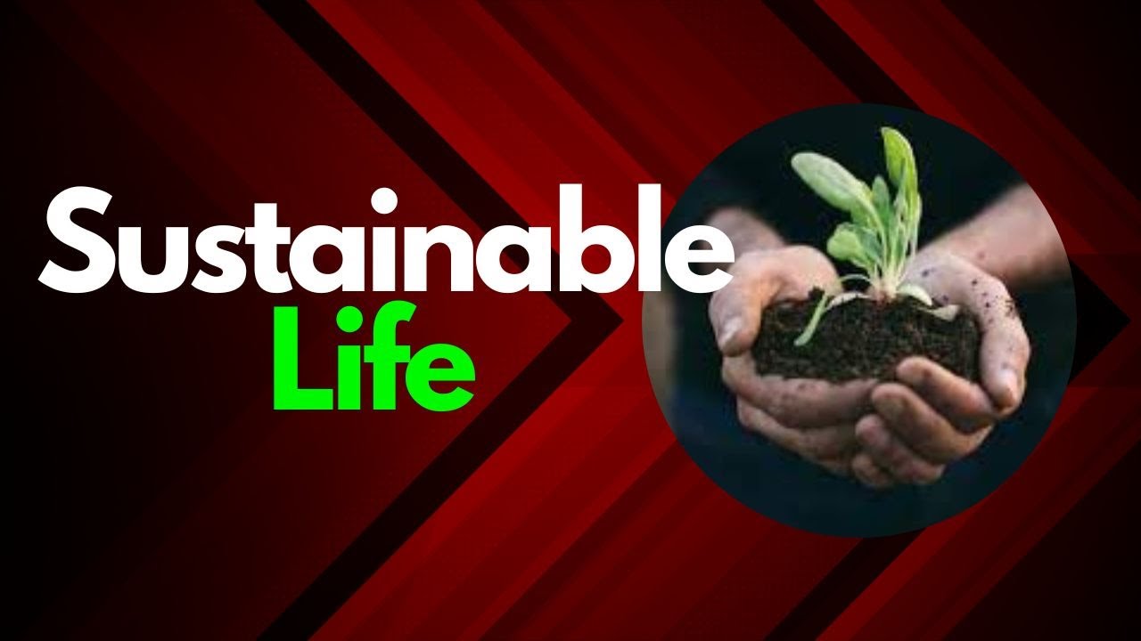 10 Easy Ways to Live a More Sustainable Life - YouTube