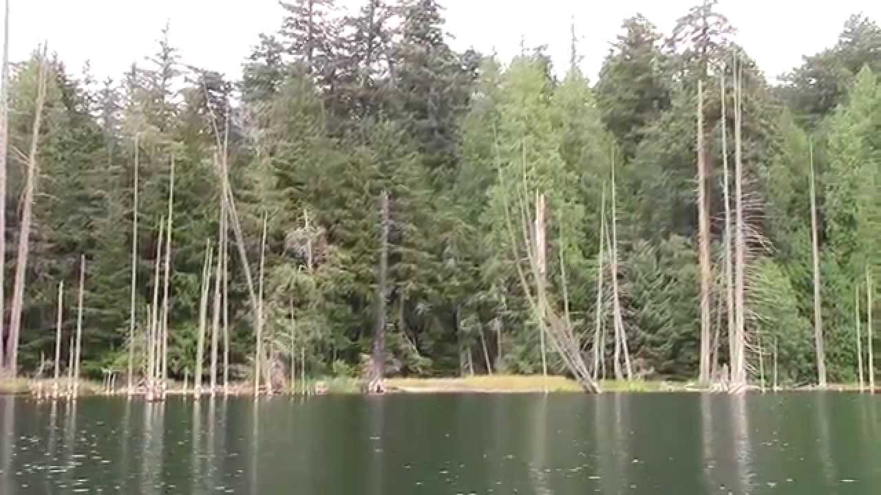 Mountain Lake, Orcas island Washington State USA HD1080 YouTube