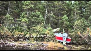 Trophy Moose Hunting With Island Safaris