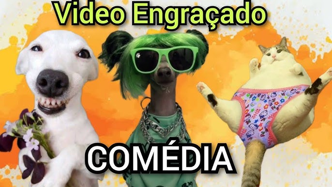 Melhores Vídeos Engraçados do tik tok De Gatos e Cães - Tente não rir  impossível Vídeo engraçado 