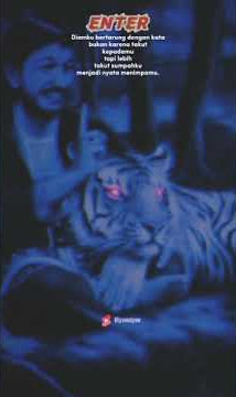 story wa macan putih sunan kalijaga. Ucapan orang yang terdzolimi. #shorts #sabar