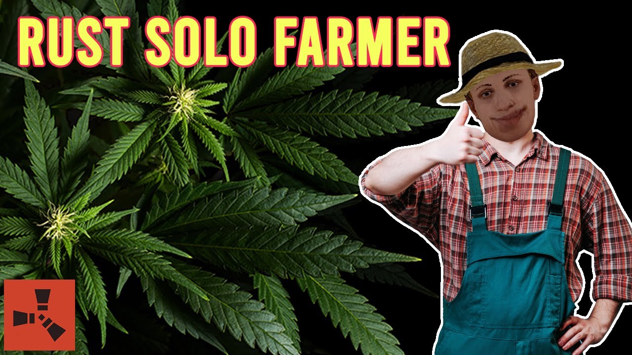 RUST - The SOLO Farmer Experience