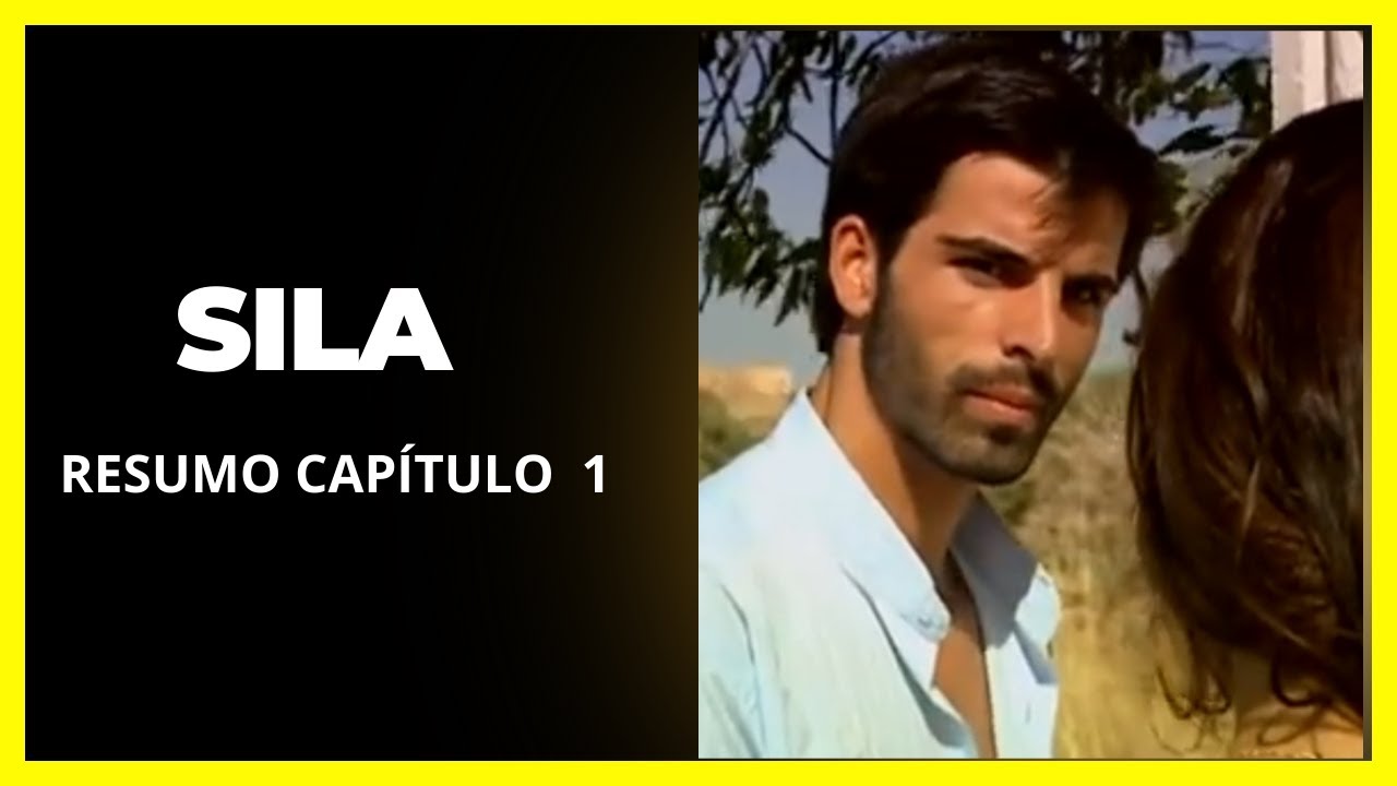 SILA CAPÍTULO 1-resumo