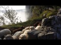 Gayak, Pyrenean Shepherd in France returning escapees to the fold. の動画、YouTube動画。