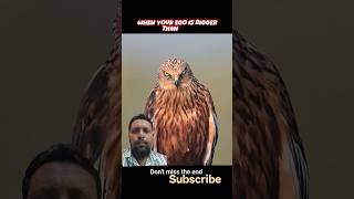 don't Miss the end 😯 | nature power #viral #reaction #funny #react #shorts