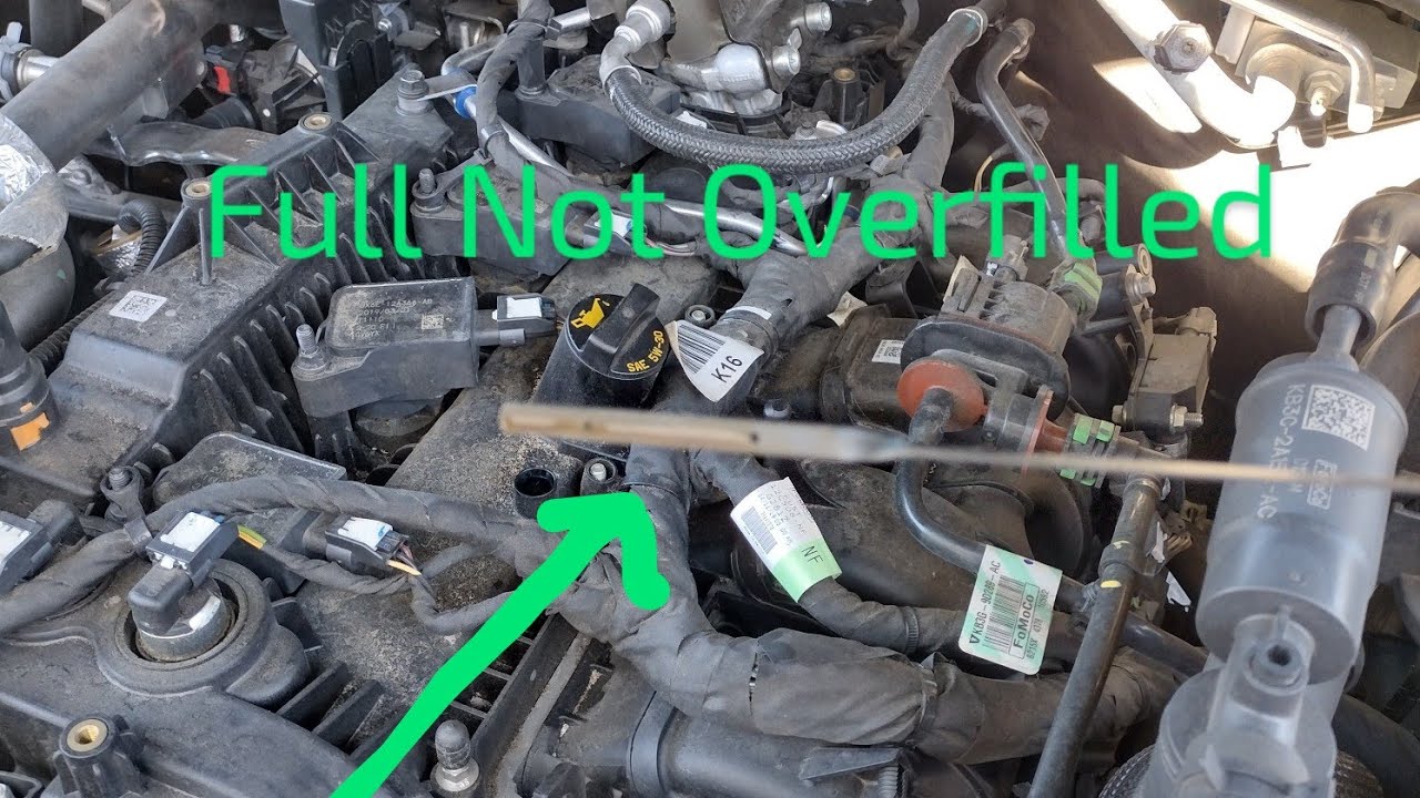 ⚠️Can Over Filling Engine Oil Cause Seals To Fail?⚠️ Let's Discuss.💬