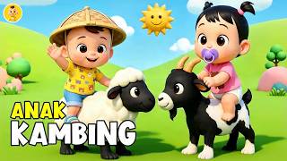 ANAK KAMBING SAYA - Lagu Anak Anak - Lagu Anak & Balita Paling Viral Terbaru 2026