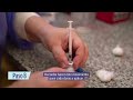 Tcnica de administracin de vacunas por va intradrmica