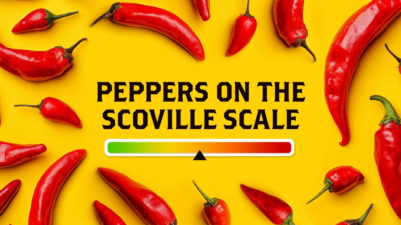 Scoville Heat Scale: How to Use Mexican Chiles