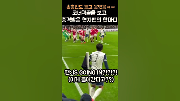 손흥민도 듣고 웃은 코너킥 골을 직관한 현지팬의 외침ㅋㅋㅋ