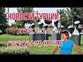 Ура! 🇹🇷✈ Хорошие Новости Турции Сегодня. Когда откроют границы? Туристический сезон в Турции 2020.