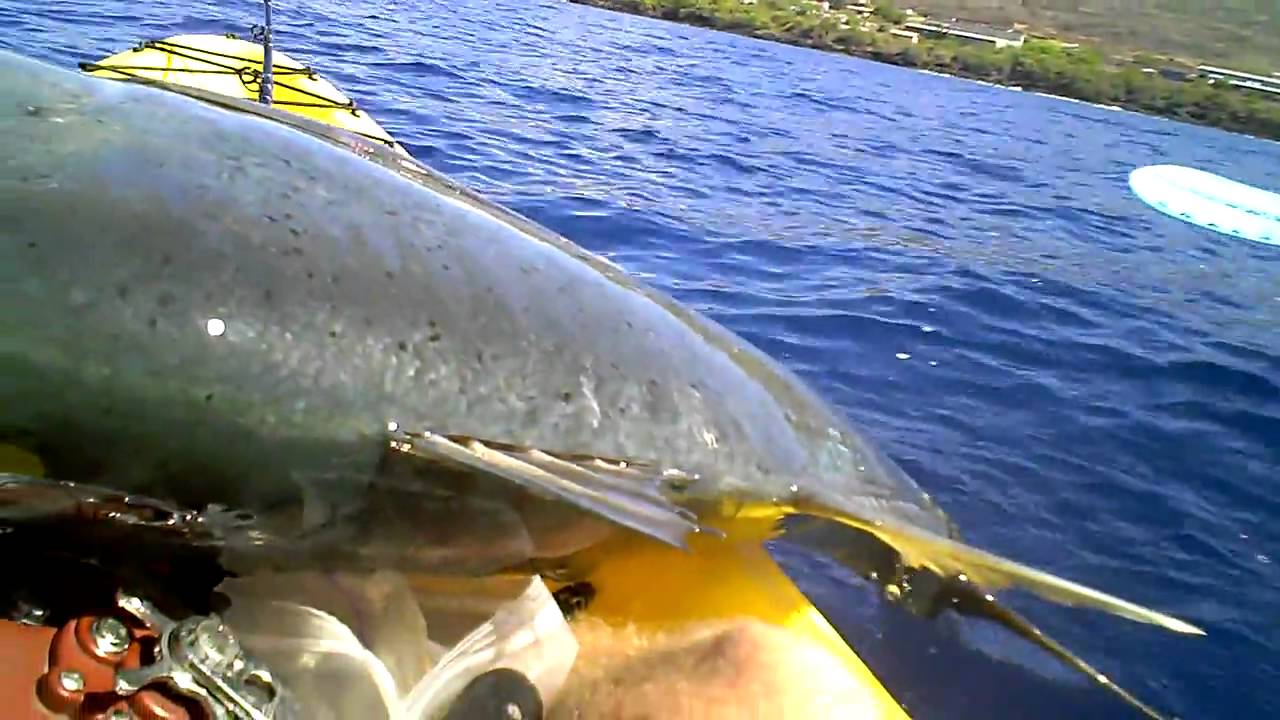 Kayak Fishing in Hawaii Wilsons 40 lb ulua 2 YouTube