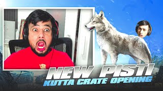 New wolf companion crate opening 🔥 Pubg mobile