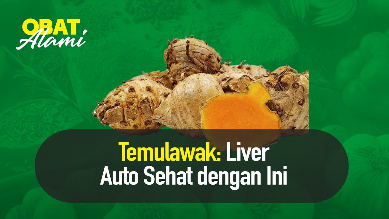 Temulawak Tokcer Bantu Jaga Kesehatan Liver | Nutrisi Alami