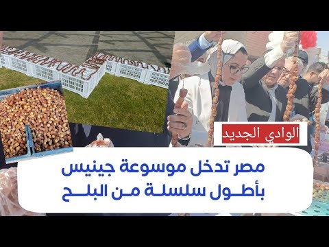 أطول سلسلة بلح في العالم تدخل بها محافظة الوادي الجديد موسوعة جينيس للأرقام القياسية