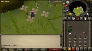 Oldschool 3 tick hunter