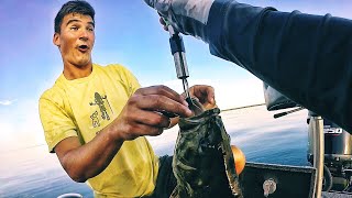 Dropshotting GOLIATH Summer Smallies! (Deep Water Fishing Tips)