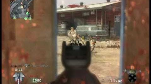 Z_Mizen_Z - Black Ops Double Flash Bang Kill