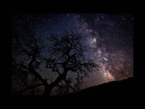 بهترین اهنگ ساربان نازنین هر در که زدم صاحب خانه تویی تو Sarban Saheb Khana Toyee 