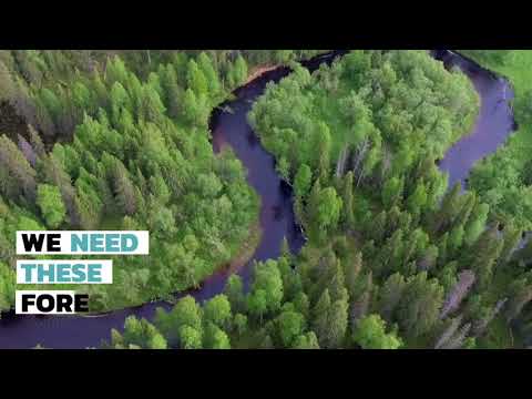 Video: Stängs nationella skogar ner?