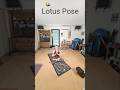 Lotus Pose at 70 | Flexibility &amp; Hip Mobility #lotuspose #yogaover70