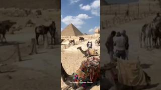 They Scammed in EGYPT ? egypt vlog nomadengineer
