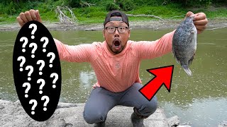 Catfishing with GIANT WALMART TILAPIA as Bait! (River Fishing)