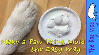 Make a Paw Print Mold   the Easy Way