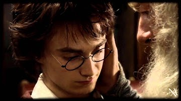 Albus Dumbledore ~ Further