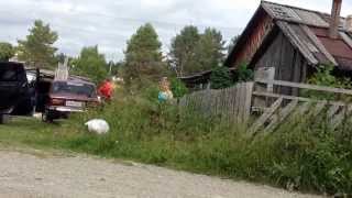 Рыбалка в карелии (день 4)(, 2013-08-26T22:42:29.000Z)