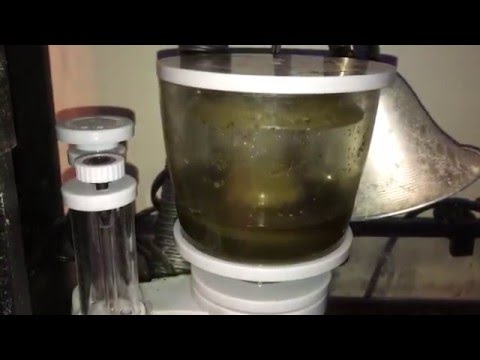 Ecumeur Tagged Videos Midnight News - nyos quantum 120 skimmer working on 37 gal reef tank