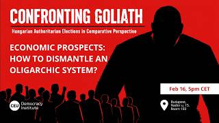 Confronting Goliath - Economic prospects: How to Dismantle an Oligarchic System?