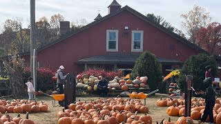 Visiting Sun High Orchards - Randolph, NJ