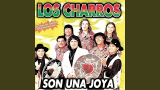 Que Nos Entierren Juntos