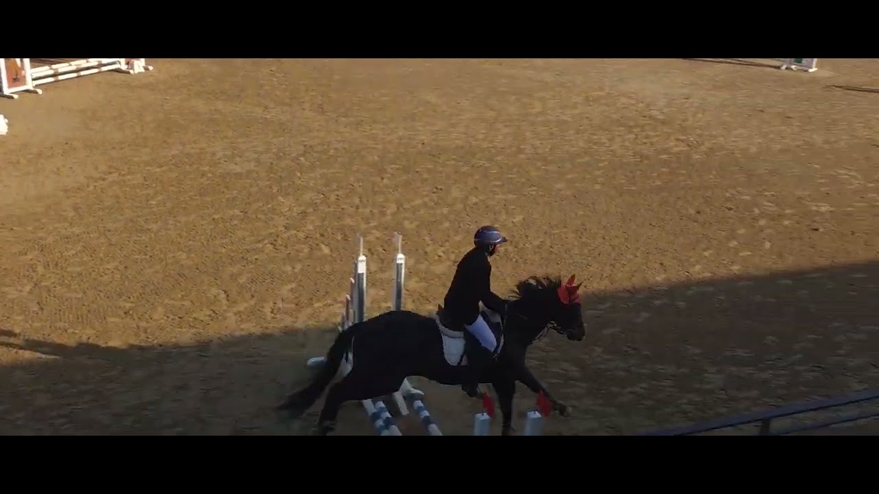 2025.10 화성시장배유소년승마대회 훈-장애물 50cm 1차