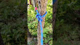 BOWLINE #knottutorial #diy #shortvideos #knot #fypシ #fypシ゚viral #fypシ゚ #shortvideos #shorts #viral