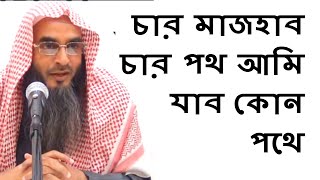 চার মাজহাব চার পথ আমি যাব কোন পথে | Char Mazhab Char Poth By Motiur Rahman Madani Bangla Waz Video screenshot 2