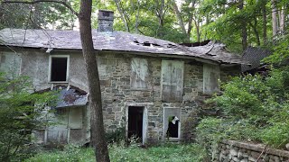 History in the Woods