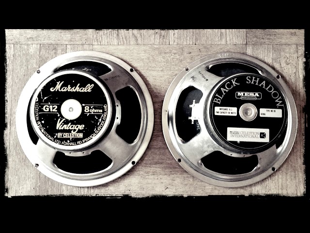 Mesa Celestion Black Shadow vs Marshall Celestion Vintage 30 Mesa