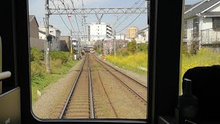 【京王井の頭線】車窓から満開の菜の花（新代田駅）